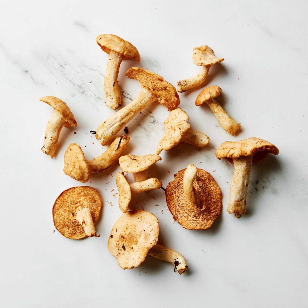 刺猬蘑菇（Hedgehog Mushroom）