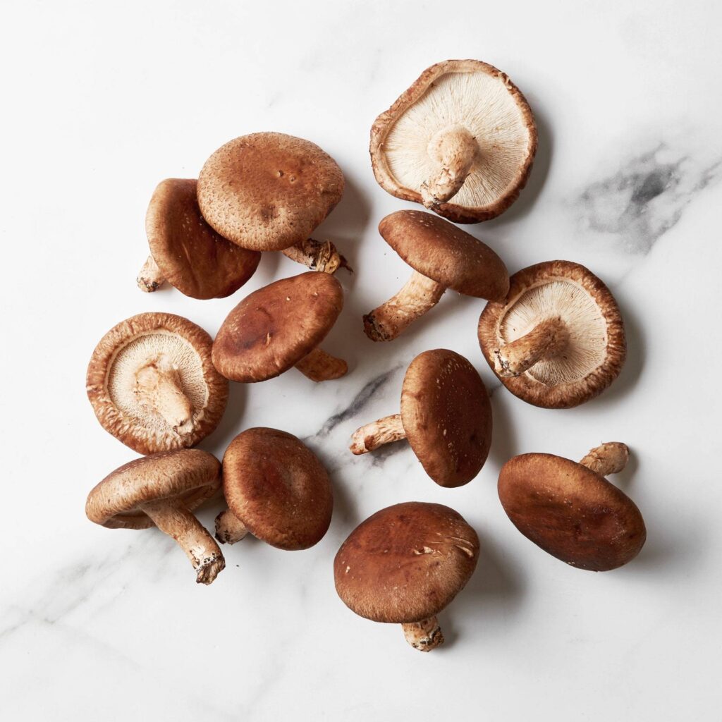 香菇（Shiitake Mushroom）