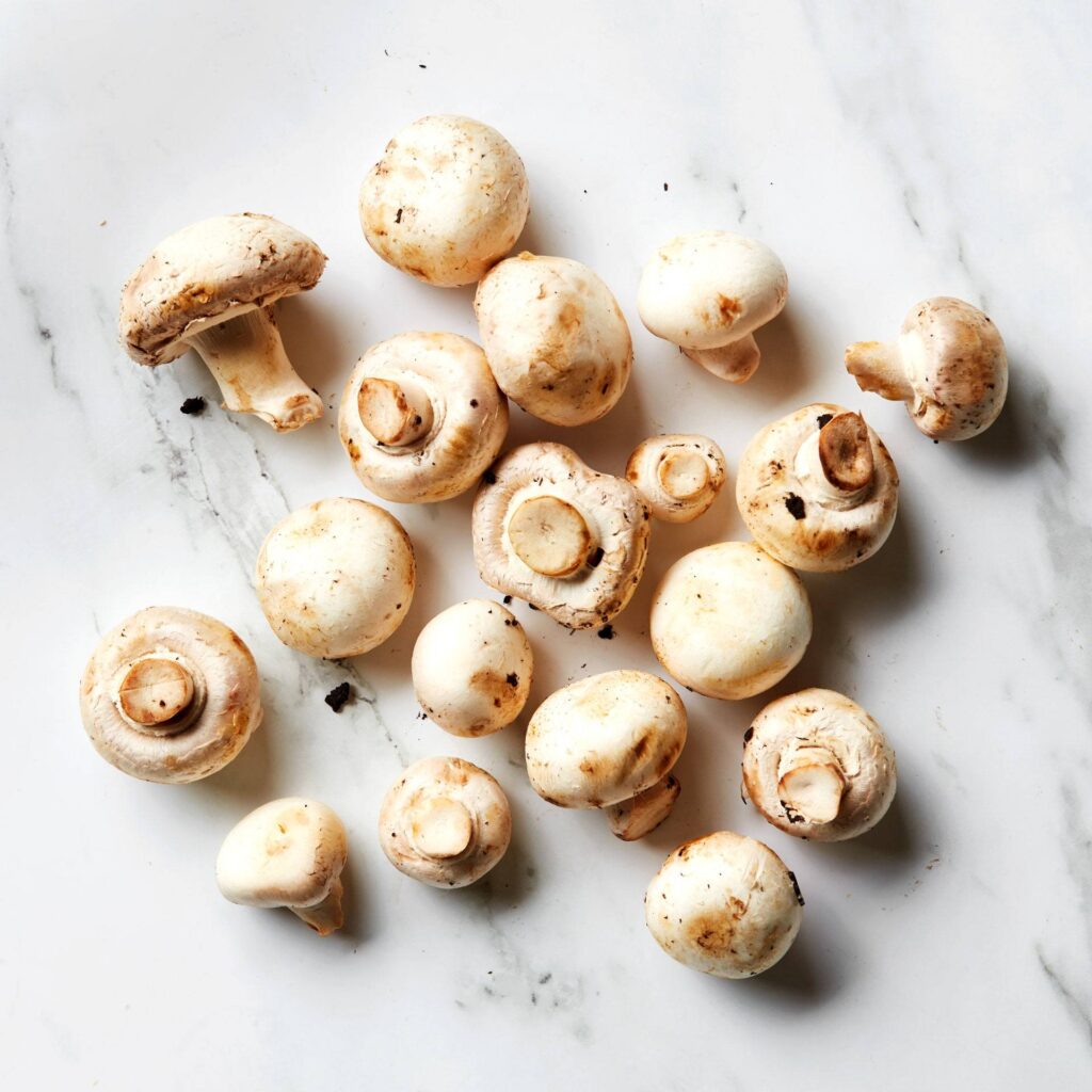 口蘑/白蘑菇（Button Mushroom）